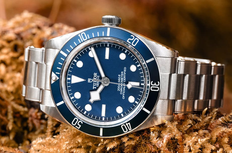 ܸ˚❓ˮl Black Bay ۶Ҫ