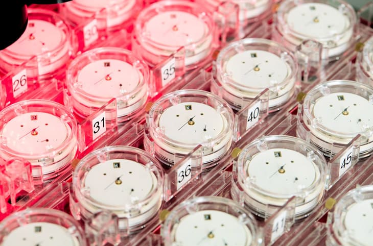 COSCJCIİ clƷƺzy͸