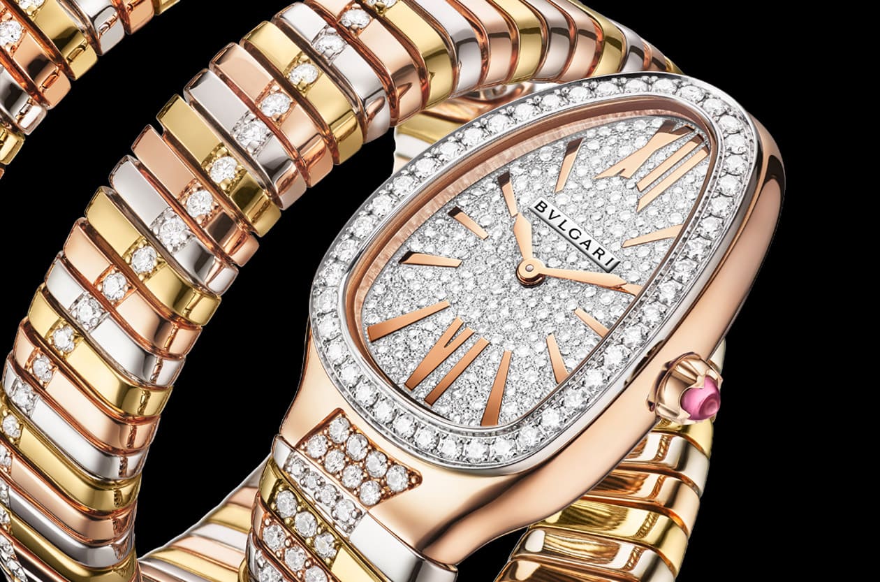 Serpenti Infiniti鱦 ʯaݻ